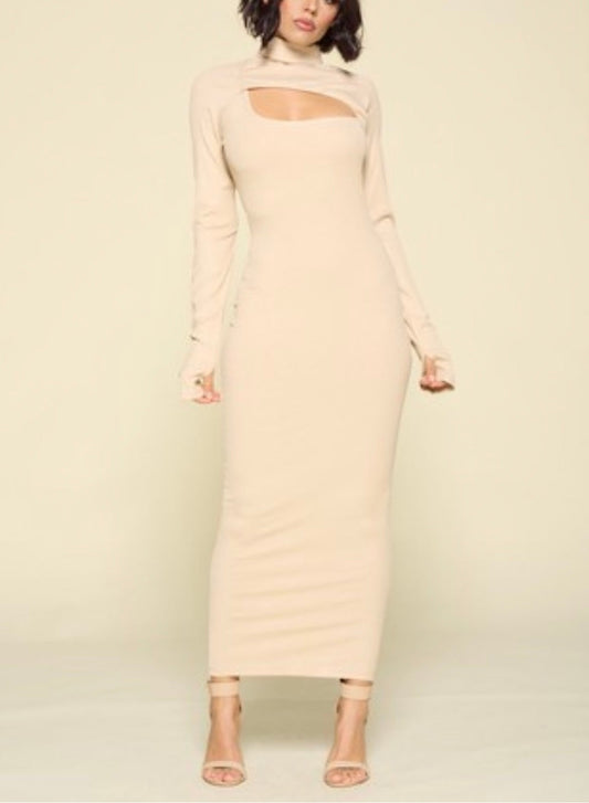 Turtle Neck Long Sleeve Maxi Dress