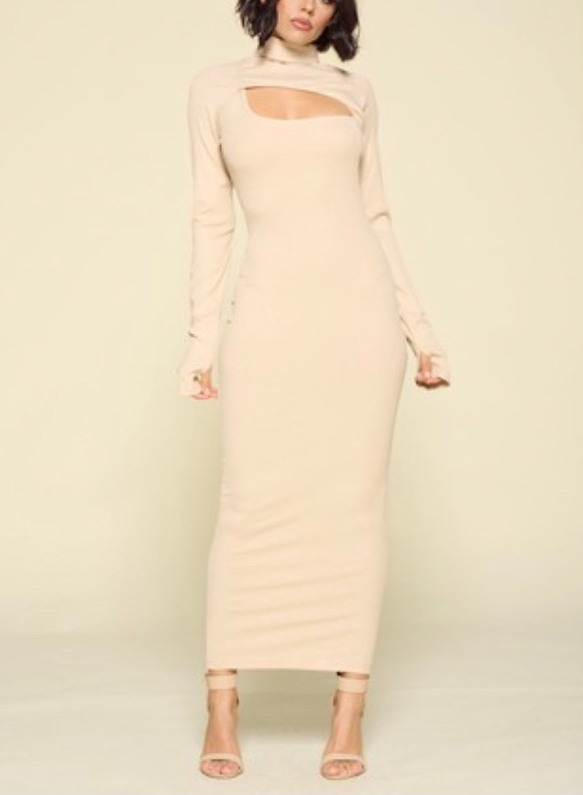 Turtle Neck Long Sleeve Maxi Dress